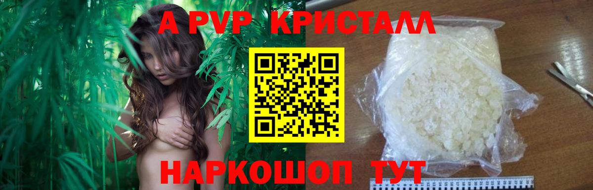 Альфа ПВП СК КРИС Ленинск-Кузнецкий