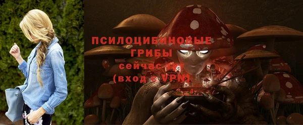 мяу мяу мука Алексеевка