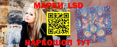 дживик Кимры