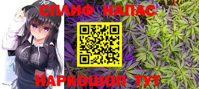 стафф Кинель