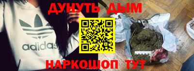 гидропоника Кингисепп