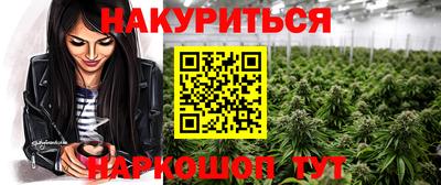 гидропоника Кингисепп