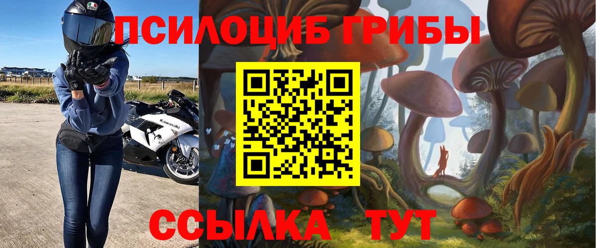 Псилоцибиновые грибы ЛСД Ленинск-Кузнецкий