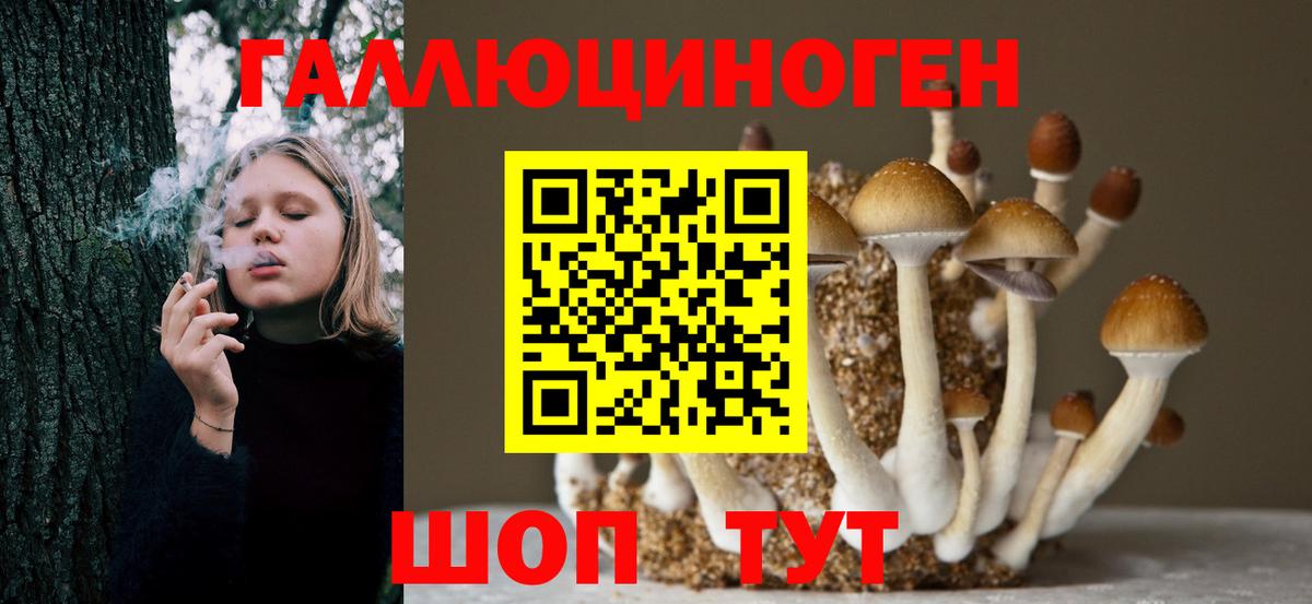 Галлюциногенные грибы Psilocybe  Вход с VPN  Ленинск-Кузнецкий 