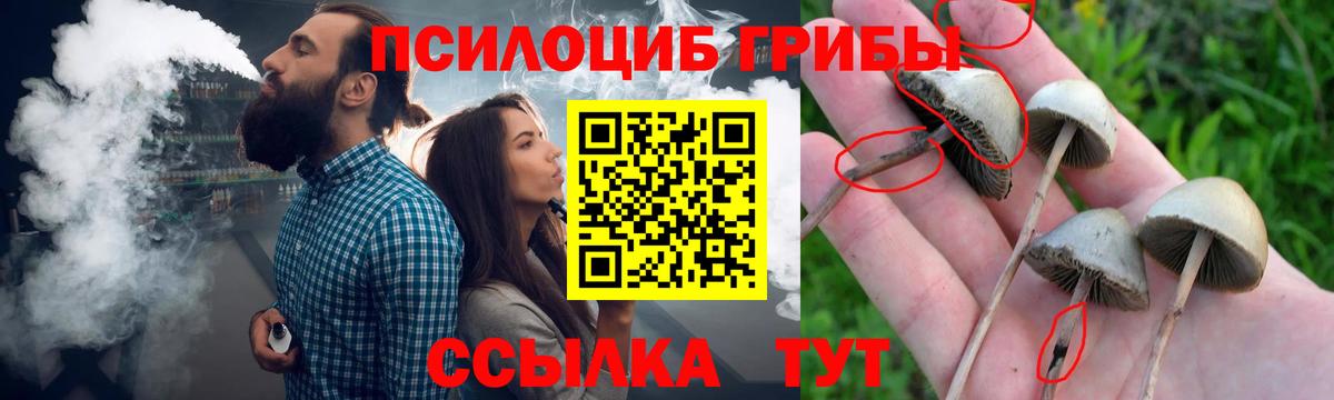 Ленинск-Кузнецкий  Кокаин  Мефедрон кристаллы  Вход с VPN  ГАШ  Канабис  Гашиш 